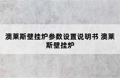 澳莱斯壁挂炉参数设置说明书 澳莱斯壁挂炉